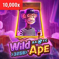 Bảo mật sbotop code