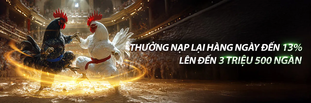 Tin tức sbotop code mới nhất