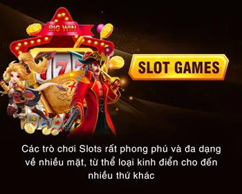 Cá cược các môn thể thao khác Sbotop Code